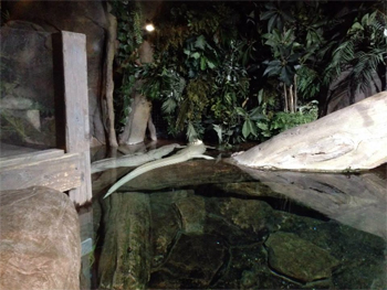 JESUS FUCKING CHRIST!!! THEY HAVE **TWO!!!!!**